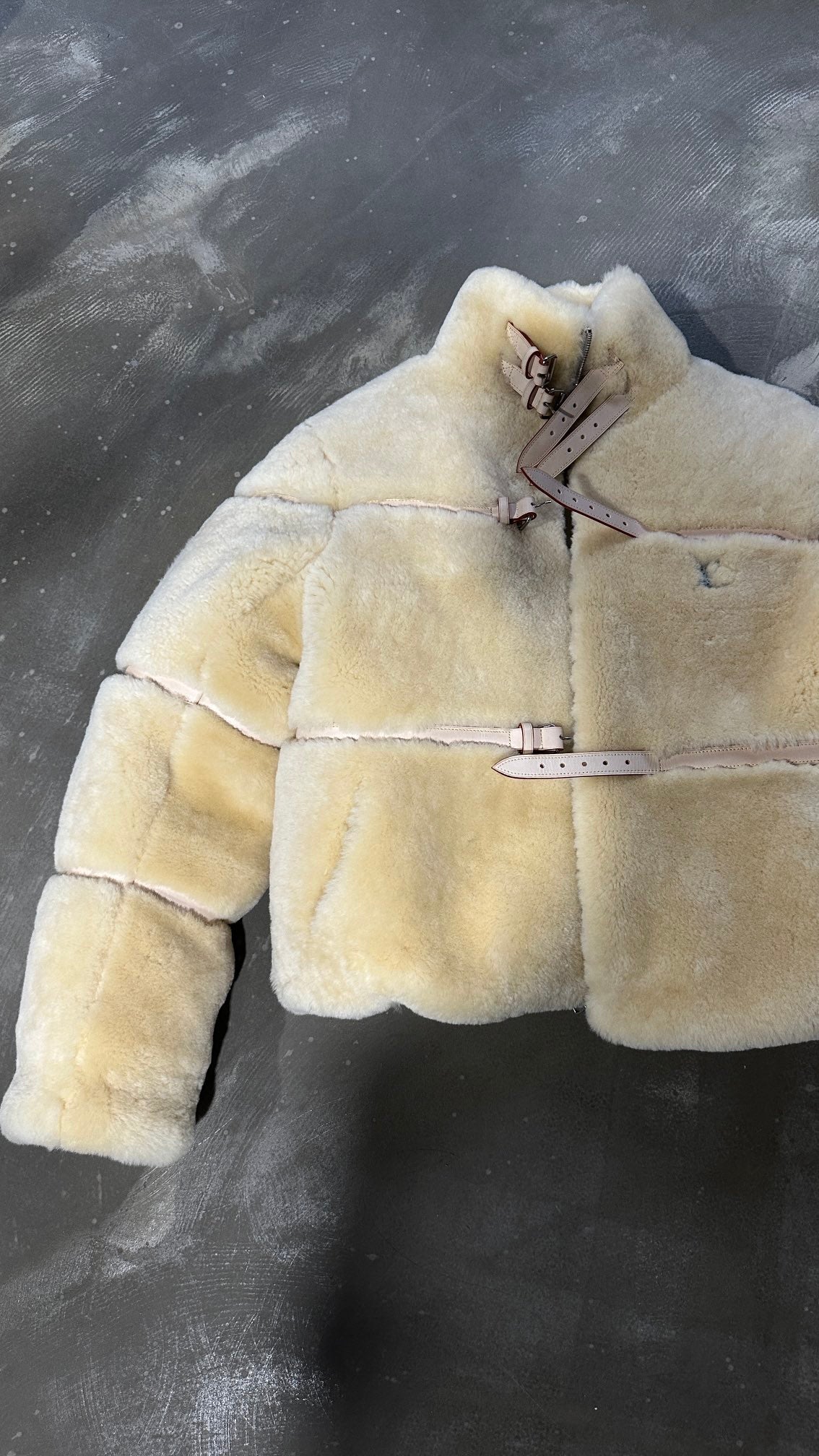 Louis Vuitton Shearling-Down Blouson Jacket – FW23 Runway